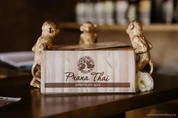 Спа-салон Prana Thai premium spa на улице Черняховского фото 10